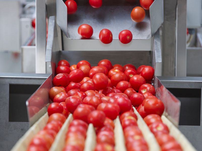 calibrado hortofrutícola