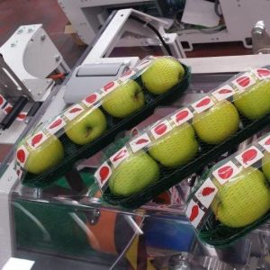 Calibradora de carriles múltiples